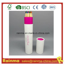 Lápis de cor de alta qualidade em suporte de tubo de papel